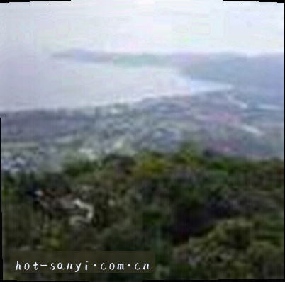 郑欣